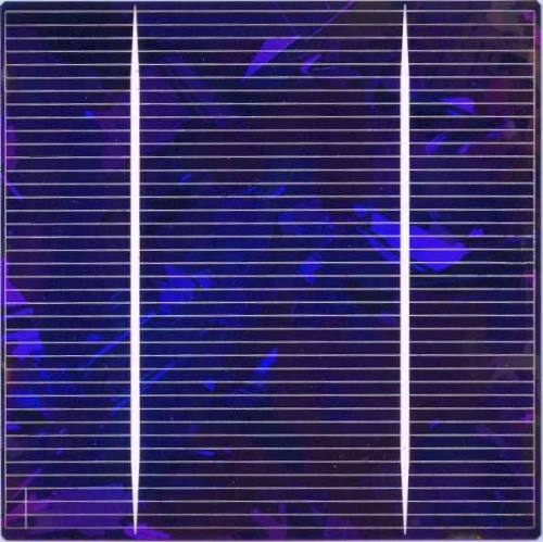 SPCELL.JPG